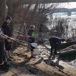 Ruderboot Ostiglia Po 2019