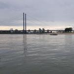 Duesseldorf Ruderboote Rhein 2019