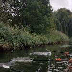 Grachten in Almere 2019