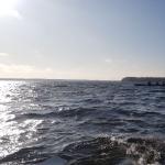 Vierer auf dem Goijmeer 2019