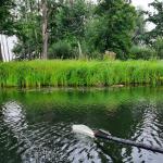 Erster Biberkontakt im Spreewald 2020