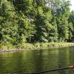 Wolfsbruch Mecklenburg 2020