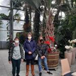 Ruderer unter Palmen Silvester 2021