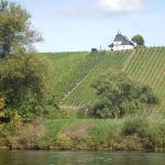 Weinberg mit Kapelle Mosel 2021