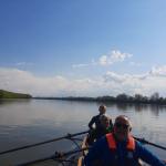 Ruderer auf der Donau 2022
