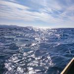 Steuerfrau mit dem Blick nach Algerien Mittelmeer 2022