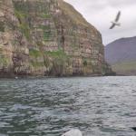 Fliegerangriff auf Ruderboot Island 2022