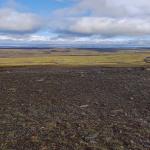 Laugarfell Island 2022