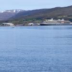 Ruderboot mit Wal Island 2022