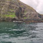 Ruderboot vor Vogelkliff Island 2022