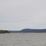 Ruderboote vor Vulkan Myvatn Island 2022