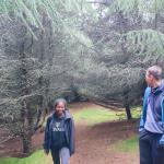 Torshavn im Wald 2022