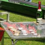 Medaillen des Ruderclub Kleinmachnow