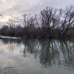 Lampertheimer Altrhein Silvester 2022