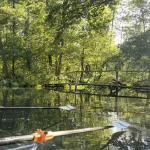 Fliess im Spreewald 2022