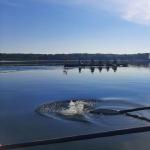 Ruderboote Storkower See 2022