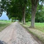 Mecklenburger Landstrasse 2022