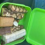 Verpflegung eines Marathon Ruderers EUREGA 2023