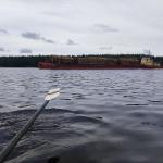 Holzfrachter auf dem Saimaa 2023