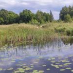 Wasserstrasse am Asnen 2023
