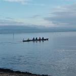 Ruderboot Genfer See 2024