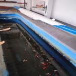 Goldfische im Ruderkasten Mannheim 2024