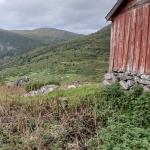 Almboden oberhalb von Laerdal 2024