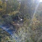 Bachlauf unterhalb der Baumgrenze 2024