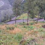 Bergstrasse Norwegen 2024