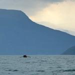 Fjord bei Sauwetter 2024