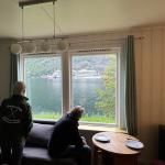 Kreuzfahrer vor dem Fenster undredal 2024