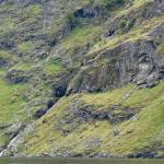 Küste am Fjord 2024