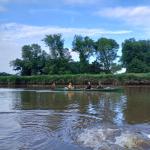 Hemmoor 2024 AH-Zweier