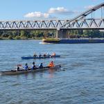 Ruderboot Rheinmarathon 2024