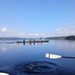 E-Vierer mit Steuermann Stora Le 2024