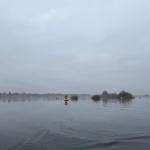 Morgennebel am Niederneuendorfer See