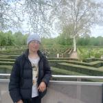 Blick über das Heckenlabyrinth im Park Schönbrunn