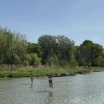 Umtrage auf der Mossoni Donau