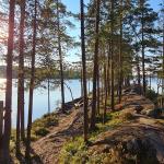 Einsame Felseninsel auf dem Saimaa