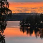 Sommen im Morgennebel