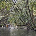 Im Spreewald Im Spreewald