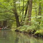 Im Unterspreewald Im Unterspreewald