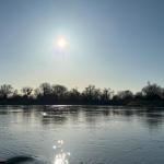 Ufer der Elbe