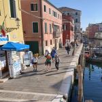 Ruderer in Chioggia