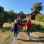 Rudererinnen