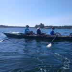 Ruderboot in den Schären